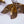 Metal & Crystal Leaf Earring
