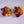 Rainbow Beaded Cluster Clip On Earrings