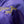 Elks Lodge Satin Bomber